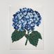 A5 Т-011 Hydrangea (14*18 cm), bead embroidery kit on an iron-on transfer
