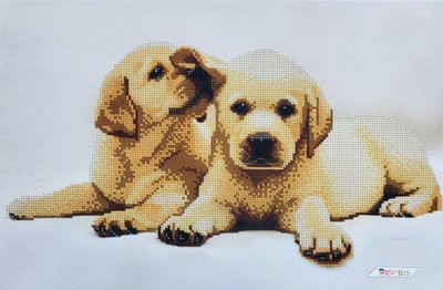 3214 Лабрадори, набір для вишивання бісером картини з собаками 3214 фото