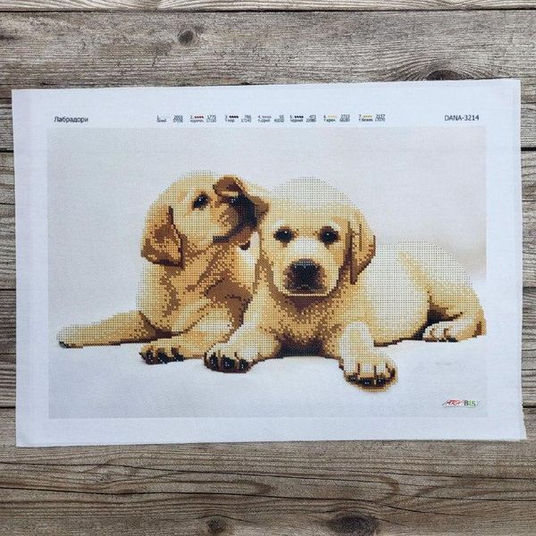 3214 Лабрадоры, набор для вышивки бисером картины с собаками 3214 фото