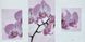 ТК104 Рожева орхідея (триптих), набір для вишивки бісером модульної картини ТК104 фото 1