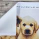 3214 Лабрадоры, набор для вышивки бисером картины с собаками 3214 фото 7