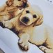3214 Лабрадоры, набор для вышивки бисером картины с собаками 3214 фото 9