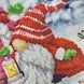 ЗПНМ-016 Gnomes (22*30 cm), bead embroidery kit of the picture