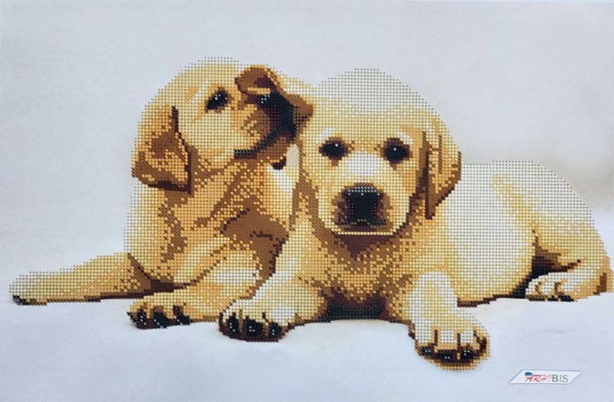 3214 Лабрадоры, набор для вышивки бисером картины с собаками 3214 фото