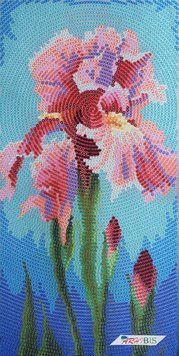 ТМ-127 Garden Sketches Pink Iris (12*24 cm), bead embroidery pattern of the picture