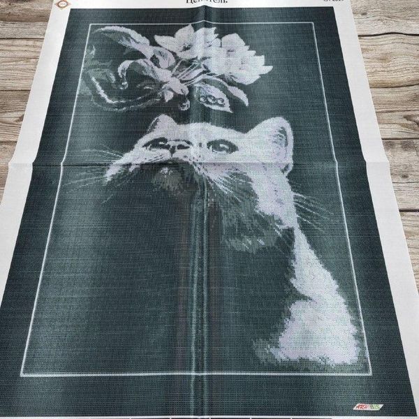 СЛ-2019 Ценитель, набор для вышивки бисером картины с котом СЛ-2019 фото
