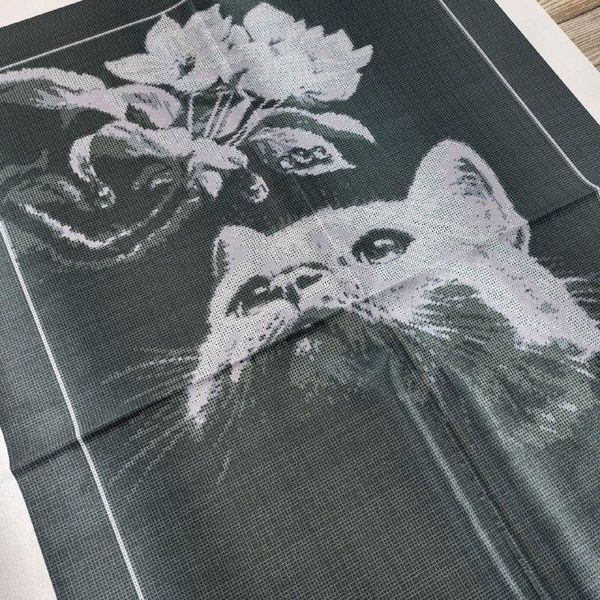 СЛ-2019 Ценитель, набор для вышивки бисером картины с котом СЛ-2019 фото