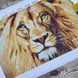 3128 Величний лев, набір для вишивання бісером картини 3128 фото 8