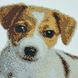 3212 Джек Рассел Тер'єр, набір для вишивання бісером картини з собакою 3212 фото 4