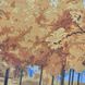 ЗПП-011 Осенний парк, набор для вышивки бисером картины ЗПП-011 фото 7