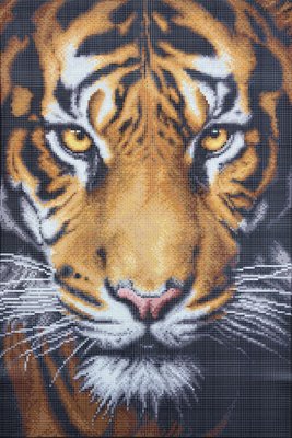 ЗПТ-015 Тигр, набор для вышивки бисером картины ЗПТ-015 фото