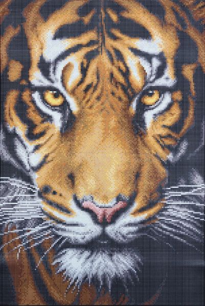 ЗПТ-015 Тигр, набор для вышивки бисером картины ЗПТ-015 фото