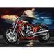 НИК-1442 Harley-Davidson (29*39 cm), bead embroidery kit of a picture with a motorcycle