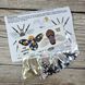 Б-049 Little Bee, brooch-making kit