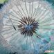 А4-К-1226 Silvery Dandelion (21*29,7 cm), bead embroidery kit of the picture