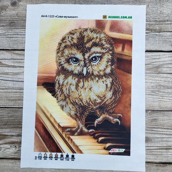 А4-К-1223 Owl Musician (21*29,7 cm), bead embroidery kit of the picture
