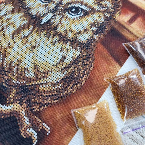А4-К-1223 Owl Musician (21*29,7 cm), bead embroidery kit of the picture