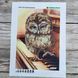 А4-К-1223 Owl Musician (21*29,7 cm), bead embroidery kit of the picture