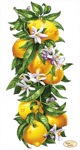 ТК-097 Соковиті лимони, набір для вишивання бісером картини ТК-097 фото