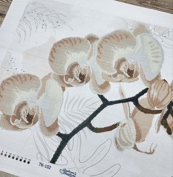 ТК102 Тендітна бежева орхідея, набір для вишивки бісером картини ТК102 фото