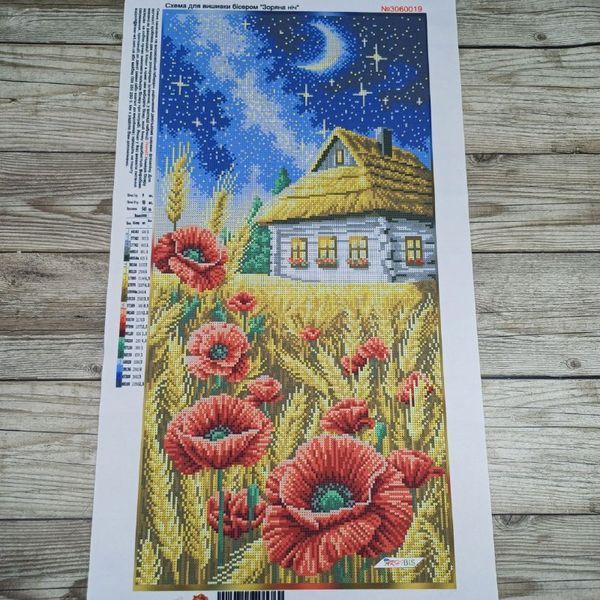 3060019 Starry Night (30*60 cm) (30*60 cm), bead embroidery kit of the picture
