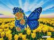 А3Н_495 Метелик (36,5*27 см), набір для вишивання бісером картини