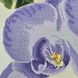 ТК100 Стильна фіолетова орхідея, набір для вишивки бісером картини ТК100 фото 10