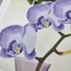ТК100 Стильна фіолетова орхідея, набір для вишивки бісером картини ТК100 фото 8