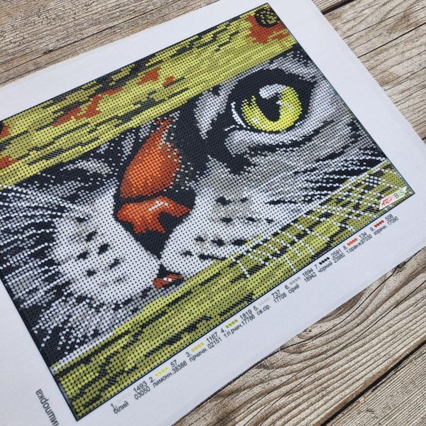 257 Snooper (19*26,5 cm), bead embroidery kit of a picture with a kitten