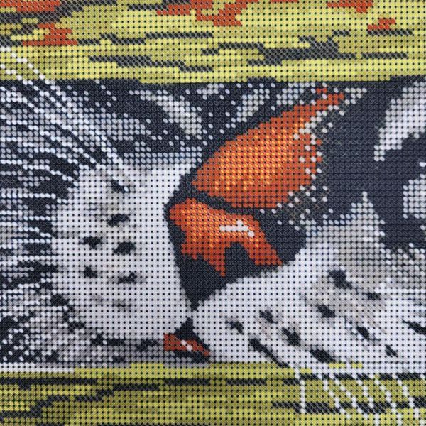 257 Snooper (19*26,5 cm), bead embroidery kit of a picture with a kitten