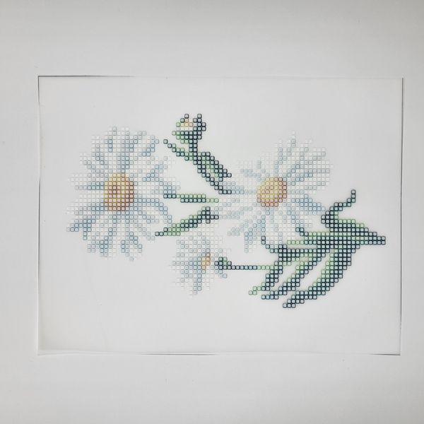A5 Т-016 Daisy (14*18 cm), bead embroidery kit on an iron-on transfer