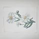 A5 Т-016 Daisy (14*18 cm), bead embroidery kit on an iron-on transfer