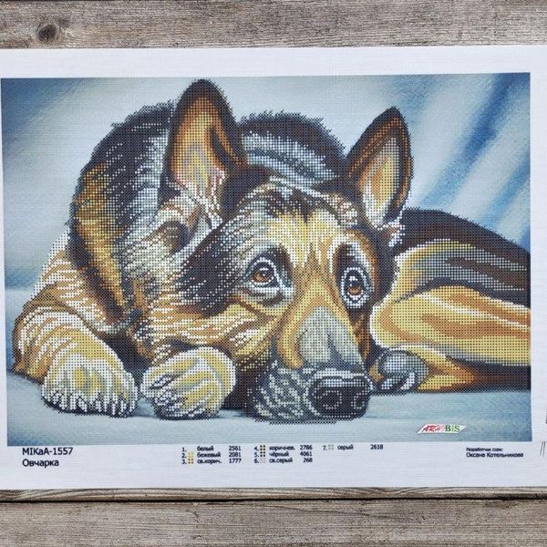 1557 Вівчарка, набір для вишивання бісером картини з собакою 1557 фото