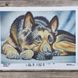 1557 Вівчарка, набір для вишивання бісером картини з собакою 1557 фото 3